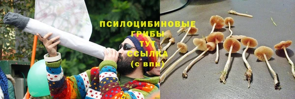 мет Армянск
