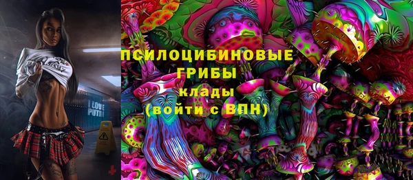 дмт Аркадак